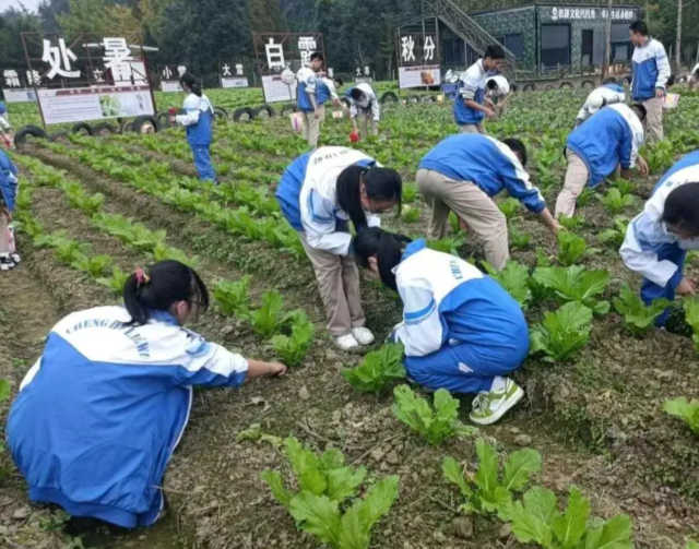课后作业到学业评价全面分层让每一位学生都能适配自身学习节奏